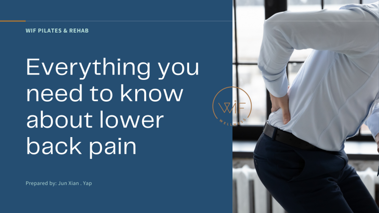 everything you need to know about lower back pain