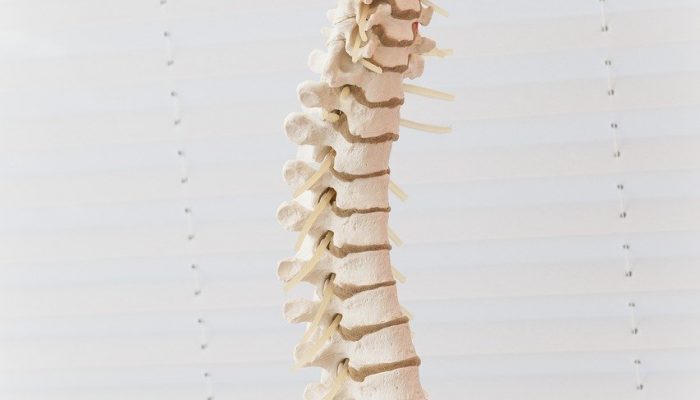 spine back pain
